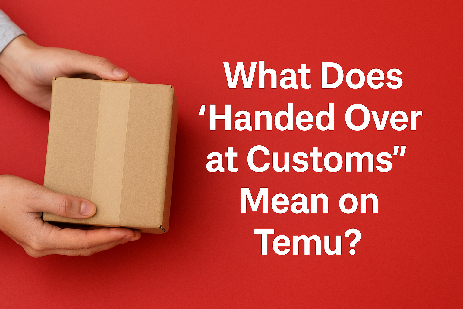 What Does Handed Over at Customs Mean on Temu? [2025]